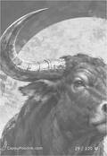 chinesezodiac Card 029
