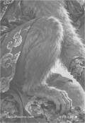 chinesezodiac Card 065