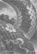 chinesezodiac Card 060