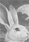 chinesezodiac Card 050