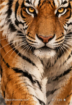 chinesezodiac Card 009