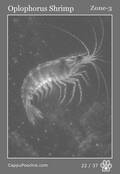 deepocean Card 22