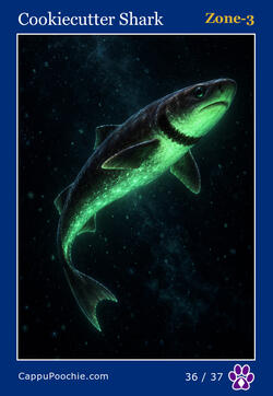 deepocean Card 36