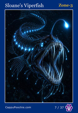 deepocean Card 07