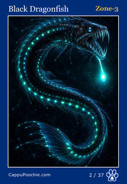 deepocean Card 02