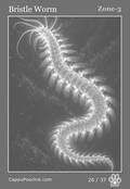 deepocean Card 26
