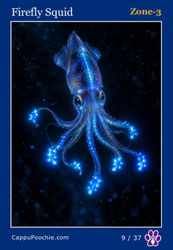 deepocean Card 09
