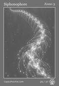 deepocean Card 29