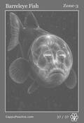 deepocean Card 37