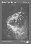 deepocean Card 21