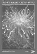 deepocean Card 30