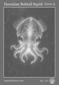 deepocean Card 10