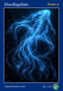 deepocean Card 33