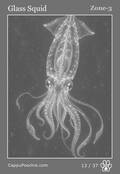 deepocean Card 13