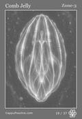 deepocean Card 19