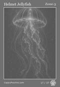 deepocean Card 17