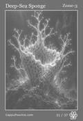 deepocean Card 31