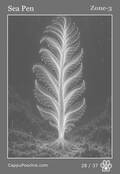 deepocean Card 28
