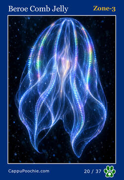 deepocean Card 20