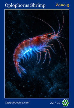 deepocean Card 22