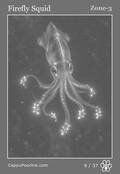 deepocean Card 09