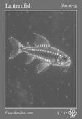 deepocean Card 05