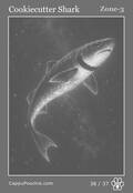 deepocean Card 36
