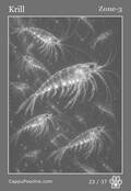 deepocean Card 23