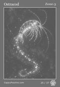 deepocean Card 25