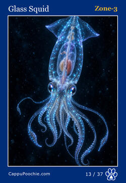 deepocean Card 13