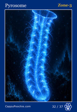 deepocean Card 32