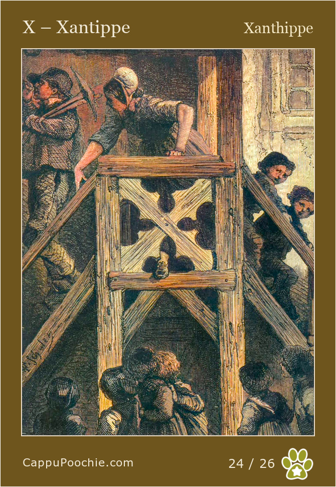 frenchalphabet Card 24