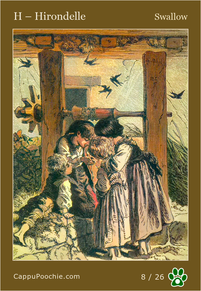 frenchalphabet Card 08