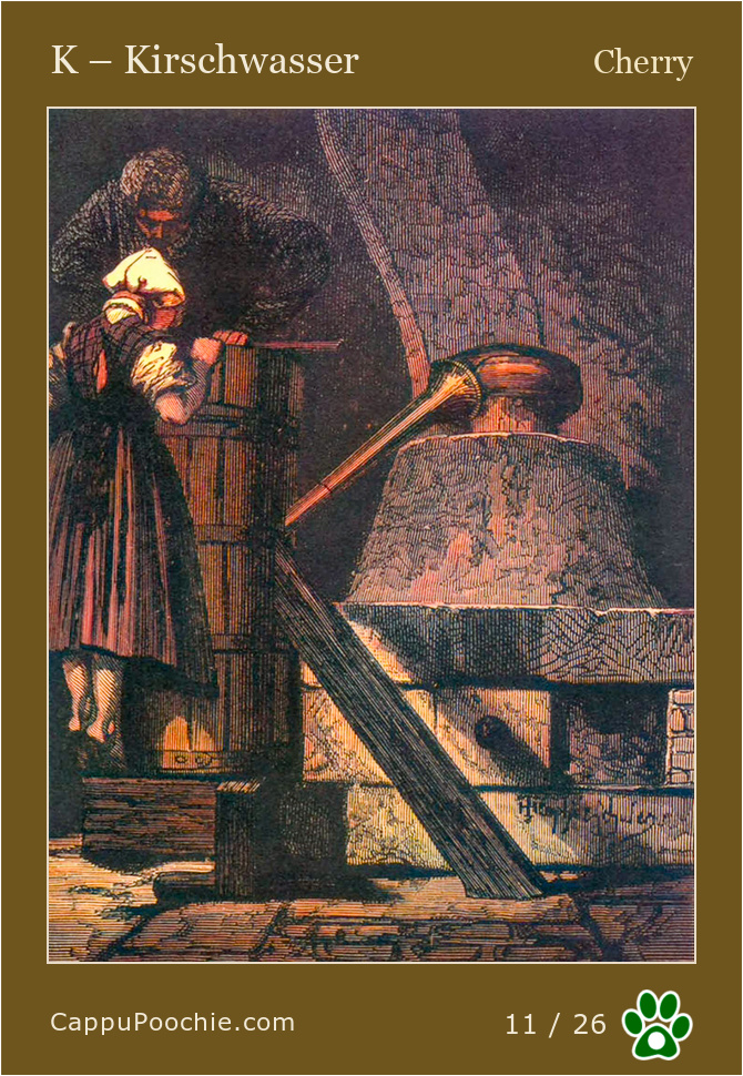 frenchalphabet Card 11