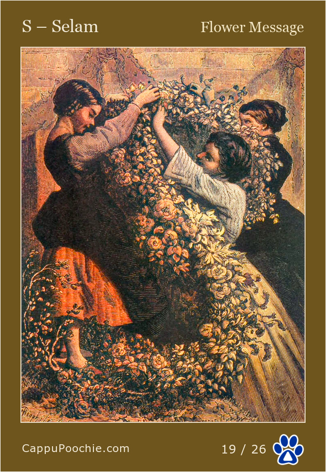 frenchalphabet Card 19