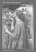 waterhouse Card 37