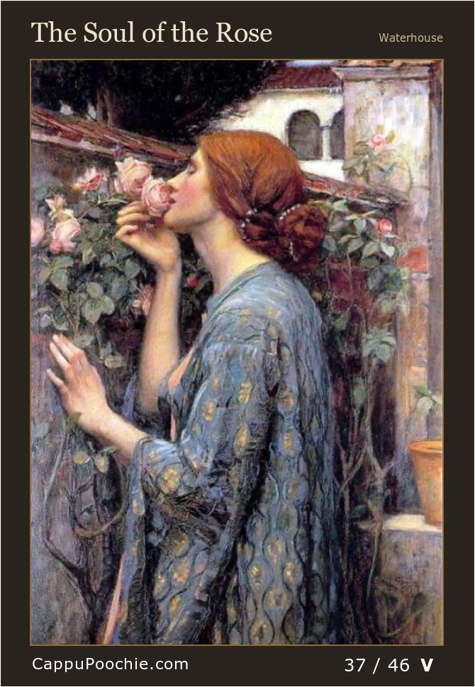 waterhouse Card 37