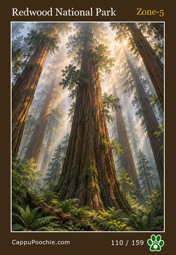 landmarks Card 110