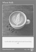 latte Card 41
