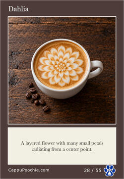 latte Card 28