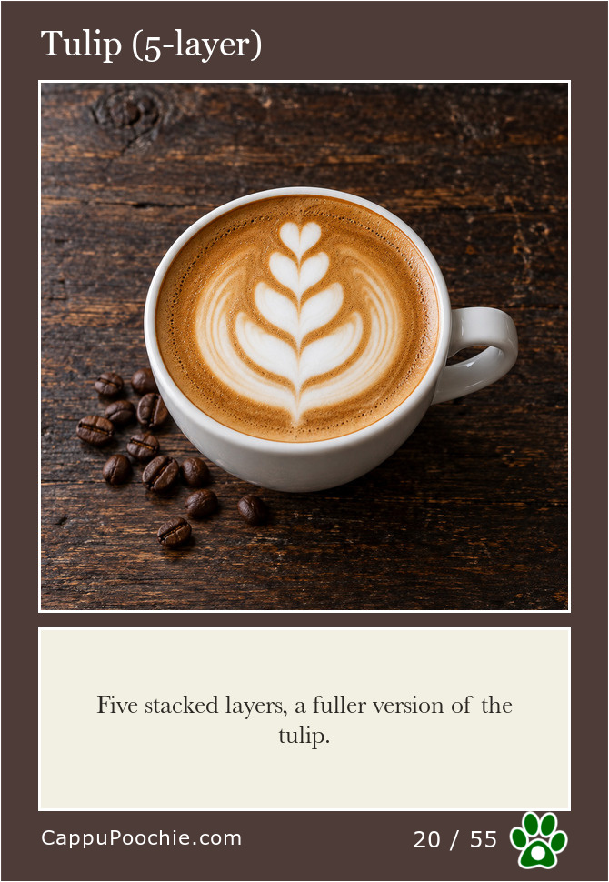 latte Card 20