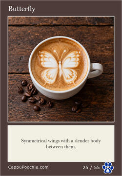latte Card 25