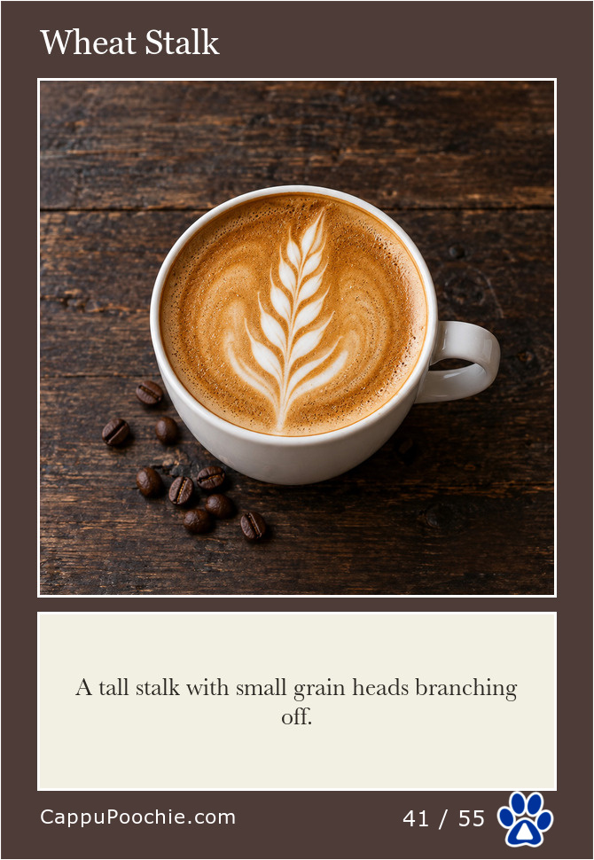 latte Card 41