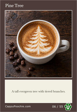latte Card 06