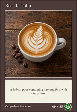latte Card 09