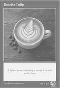 latte Card 09