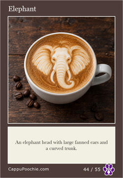latte Card 44