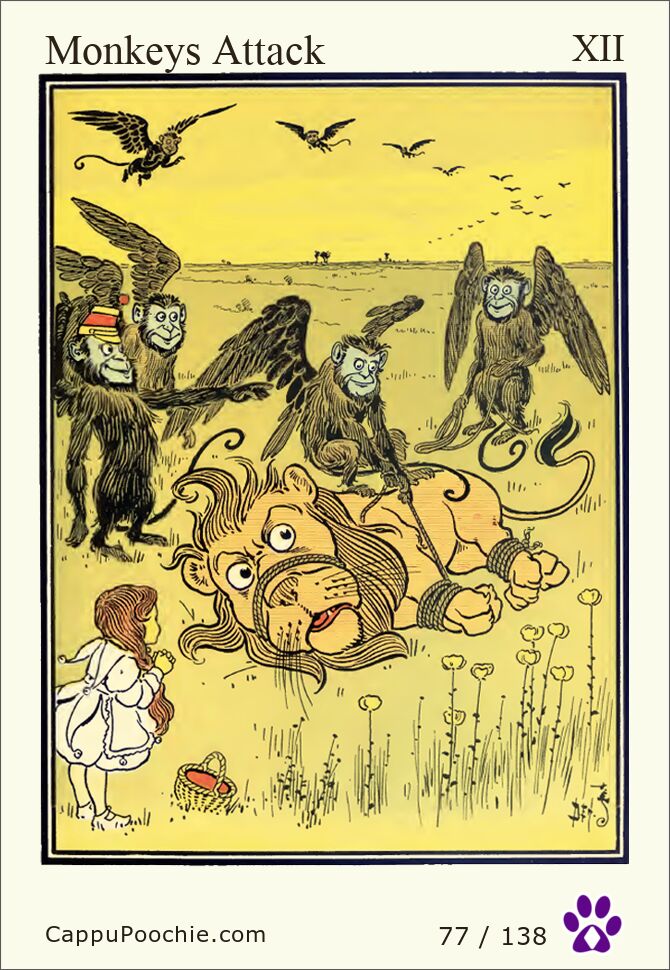 wwooz Card 077