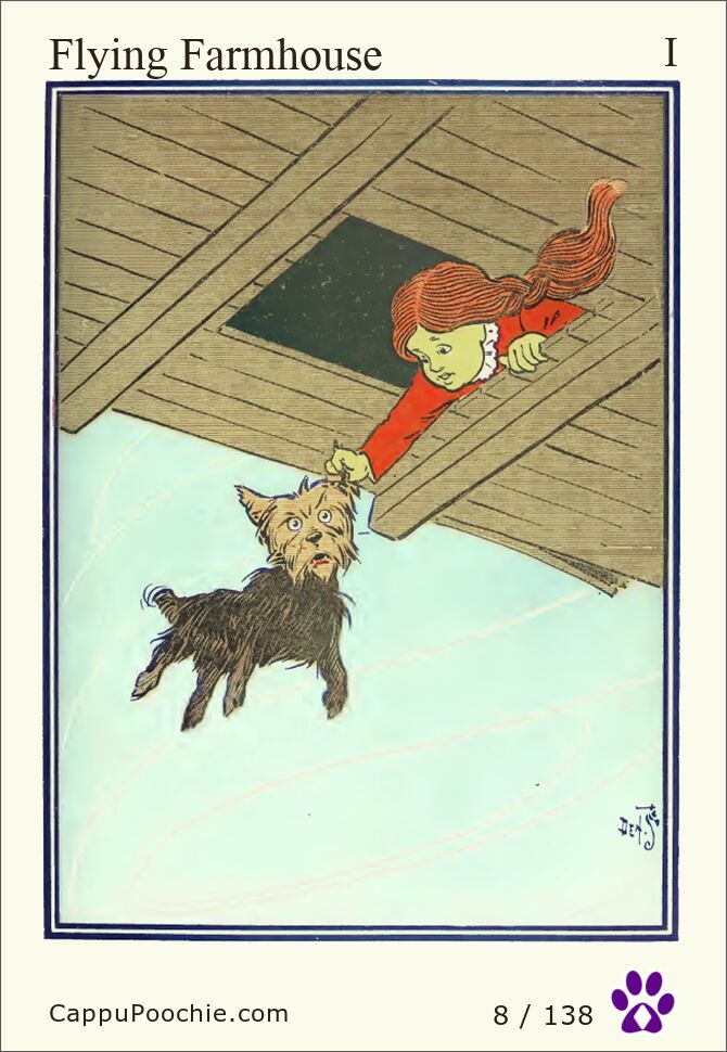 wwooz Card 008