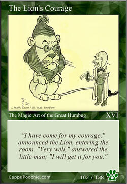 wwooz Card 102
